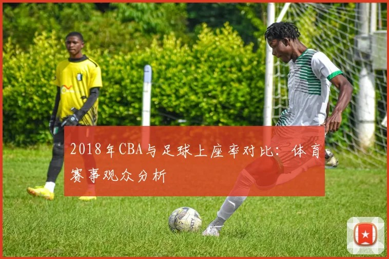 2018年CBA与足球上座率对比：体育赛事观众分析