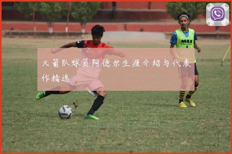火箭队球员阿德尔生涯介绍与代表作精选