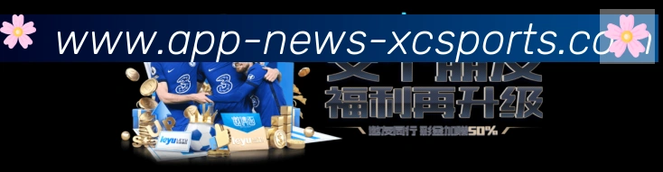 未来规划