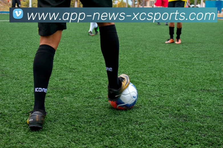 杏彩体育APP 高清赛事图